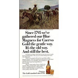 1978 Jose Cuervo Tequila Vintage Print Ad Horseback Donkeys Hillside Wall Art